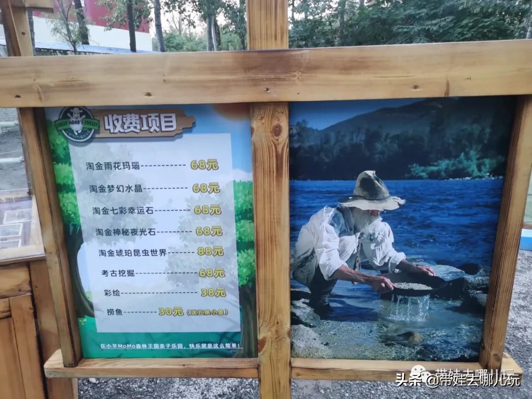 北京五环内新开萌宠乐园,除了喂动物,还能玩大滑梯、免费享帐篷