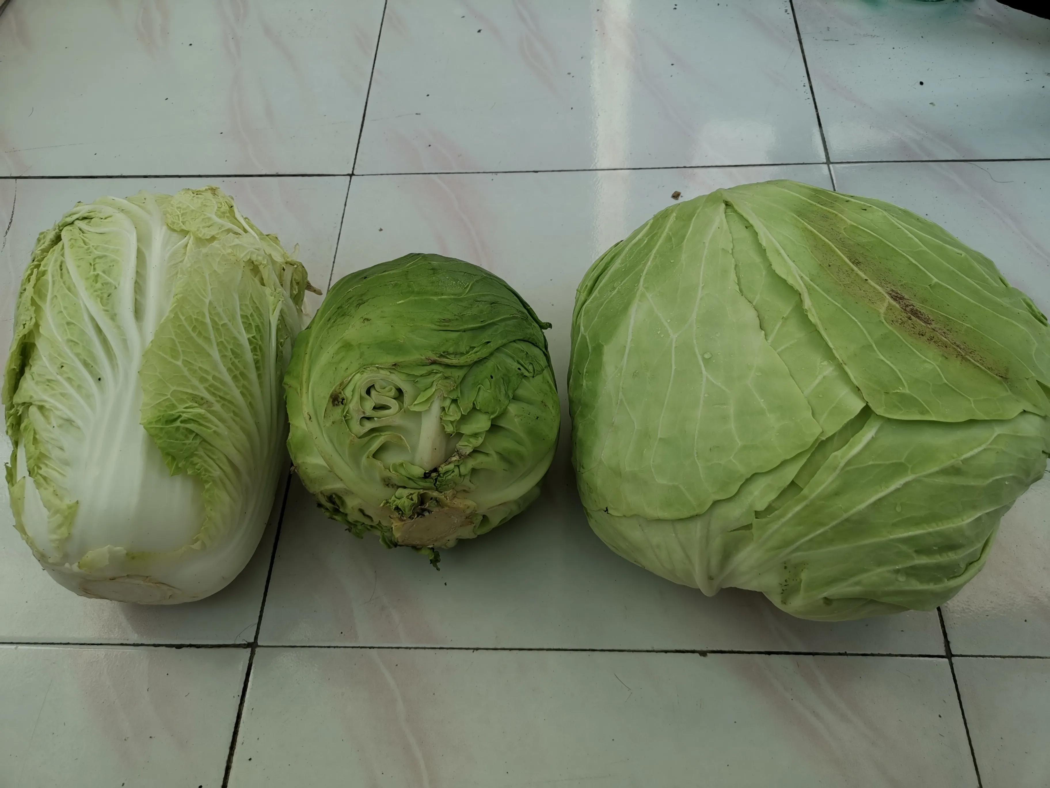 玻璃泡菜坛腌酸菜,泡菜缸里泡老坛酸菜