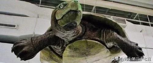 这十种巨型怪物，还好都已灭绝