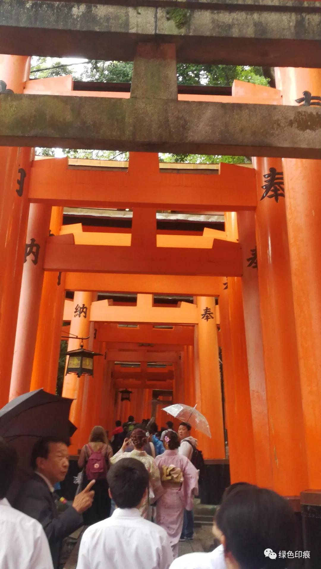 浼忚绋昏嵎澶хぞ鍗冩湰楦熷眳,浼忚绋昏嵎绁炵ぞ鍔ㄦ极鍙栨櫙