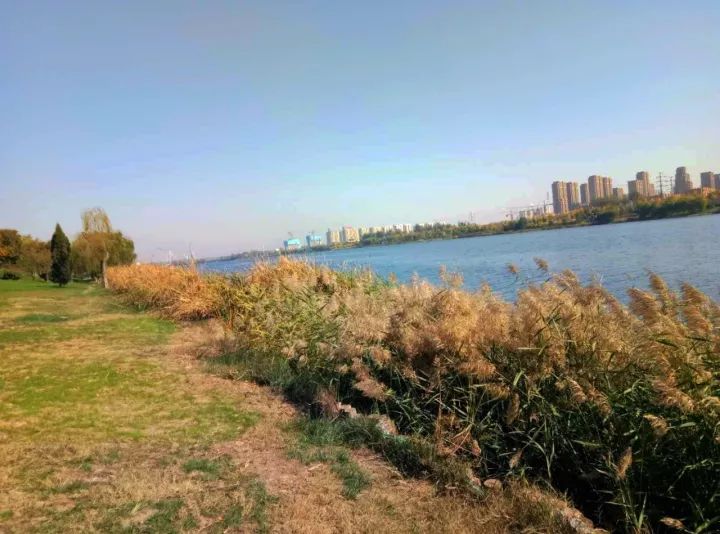 聊城最美美景视频,聊城风景排名前十