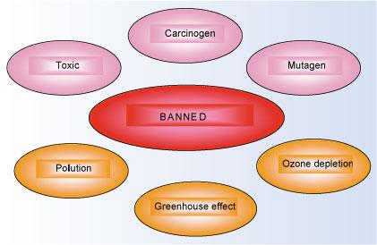 对面的“女孩”看过来：看看我对环保物质的回顾