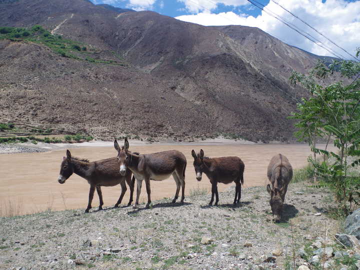 王小花的全部作品,王小花攻略