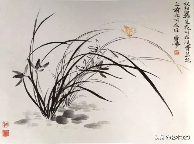 国画兰花画法免费技法教程,国画兰花绘画图
