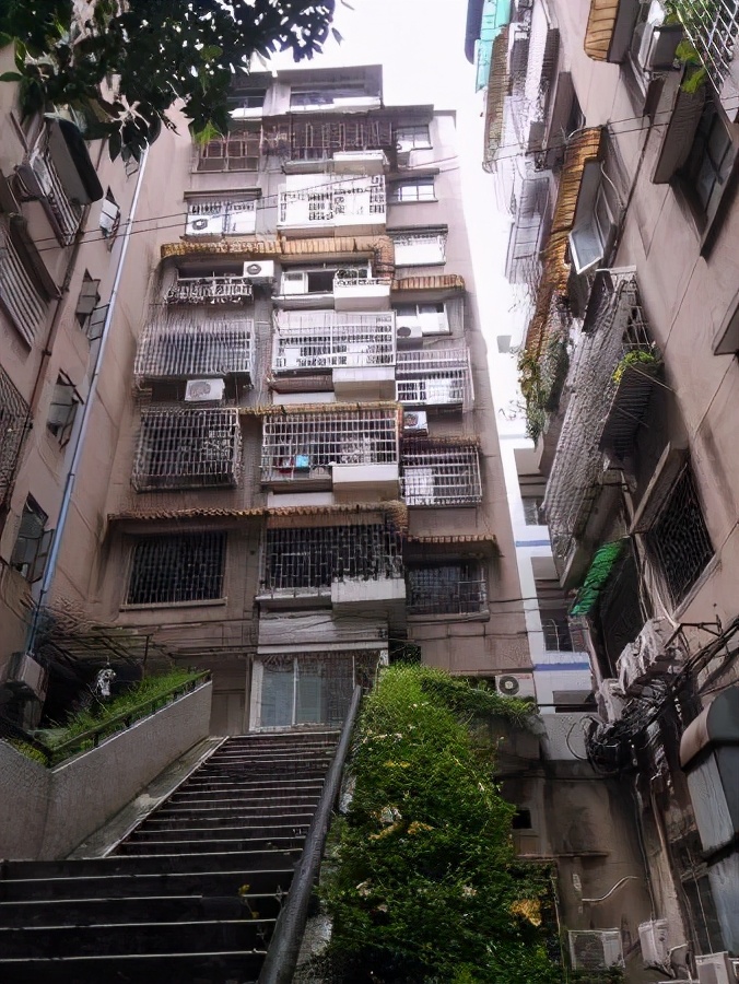 中星小学,广州市越秀区中星小学学位房