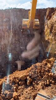 12岁的学生吹牛当上了校长全集,12岁的学生吹牛当上了校长