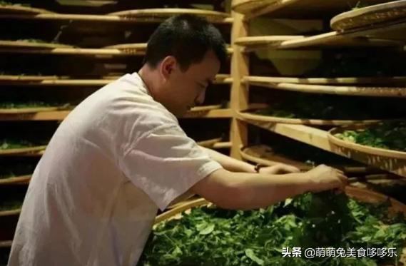 上饍·御上茗|清风不请,自然徐来,谷雨茶时,春意葱茏