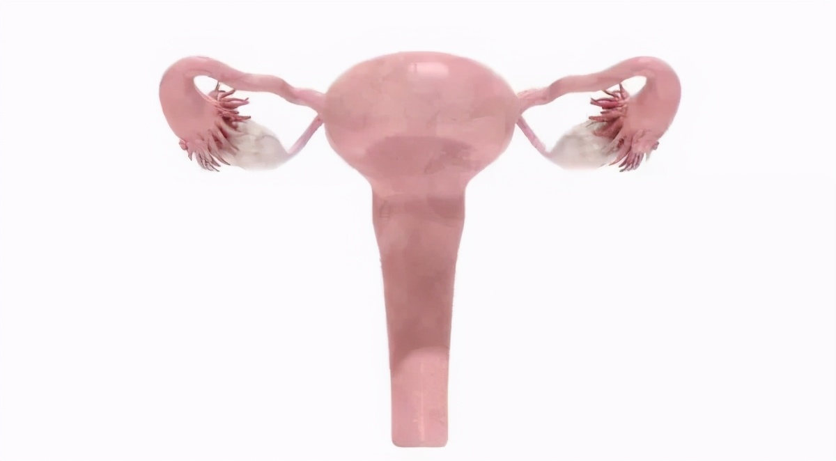 试管促排14天回院4次方案,试管促排长方案一般打几天针