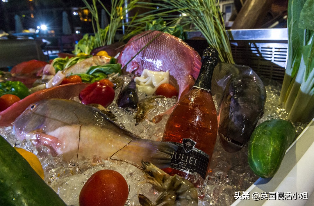 塞舌尔海滩风景视频,塞舌尔海岛完整版