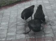 聚划算影响最低价吗,聚划算一点都不便宜