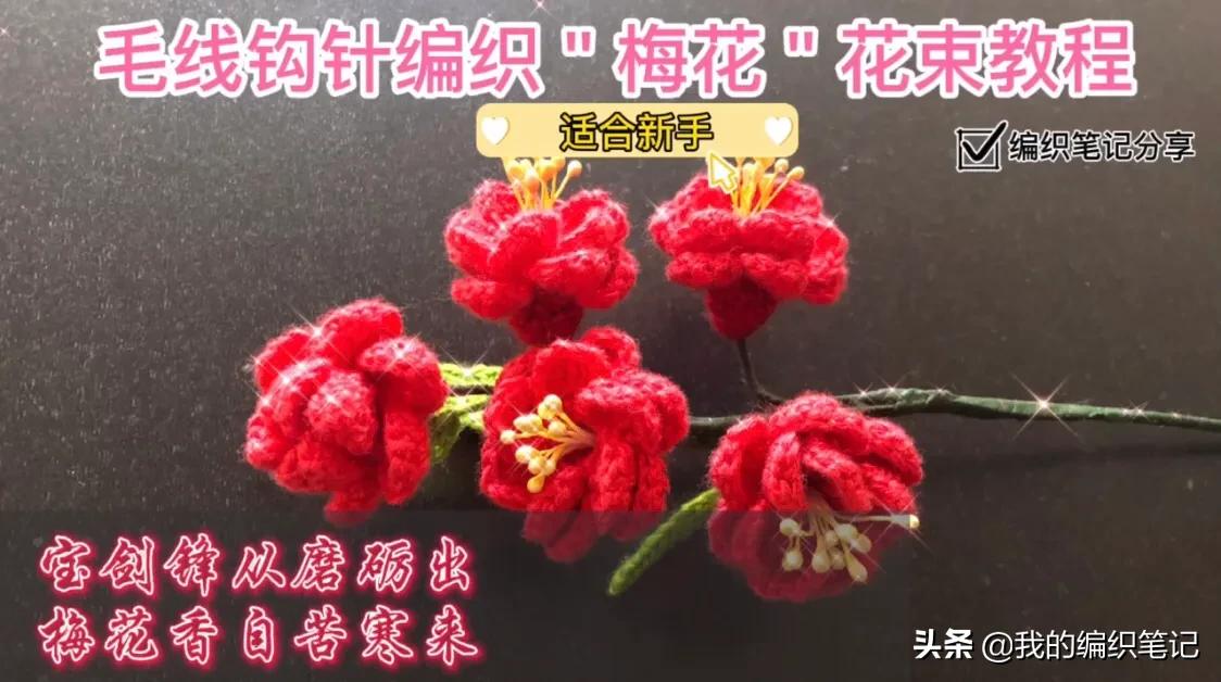 毛线钩针编织梅花视频,钩针梅花花束