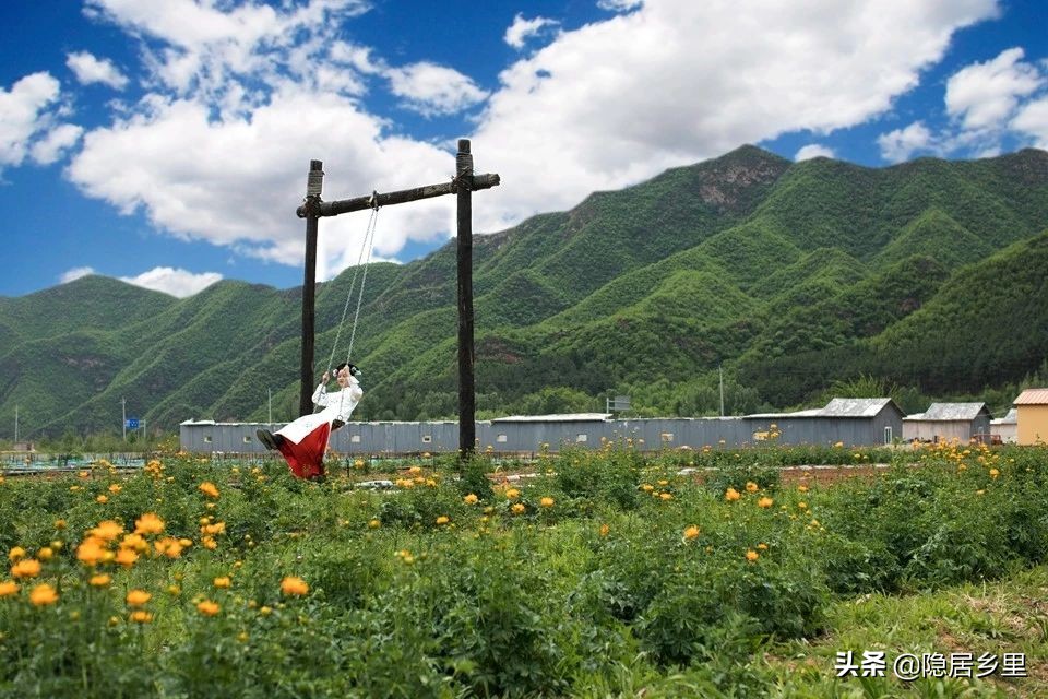 亲子京郊游红叶,国庆去北京看红叶攻略
