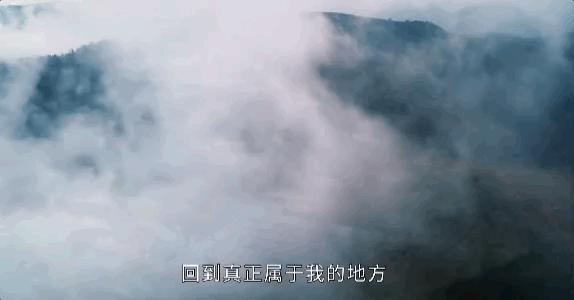 带你Get《司藤》同款神仙美景,春天的香格里拉这样玩