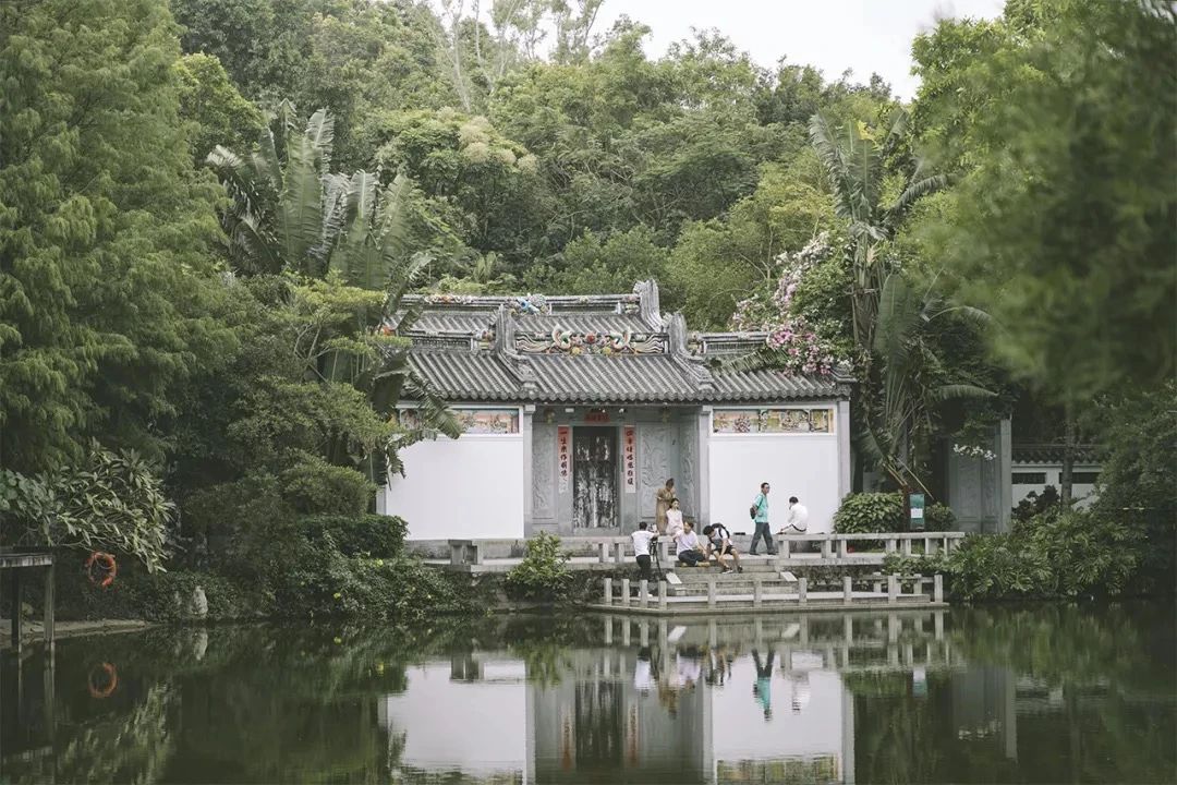 深圳周边自驾游一日游景点推荐,深圳30人报团一日游有什么景点