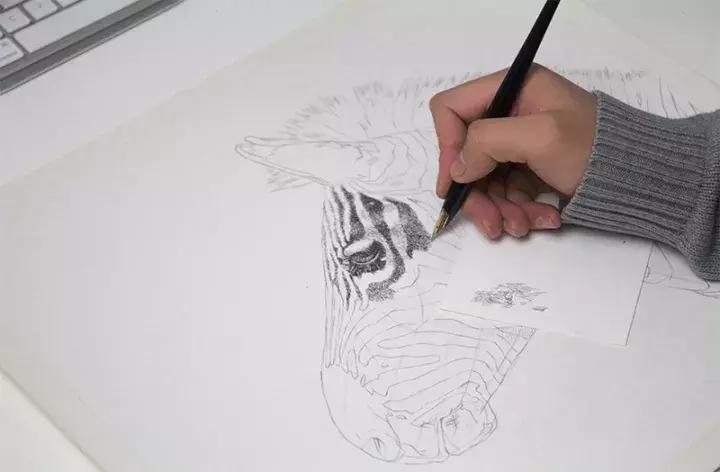 小央美钢笔画视频,极品五大钢笔画简直美爆