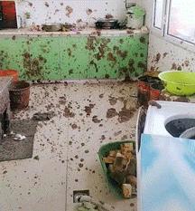 让人一看就能笑死的沙雕图片,史上最沙雕的100张图片