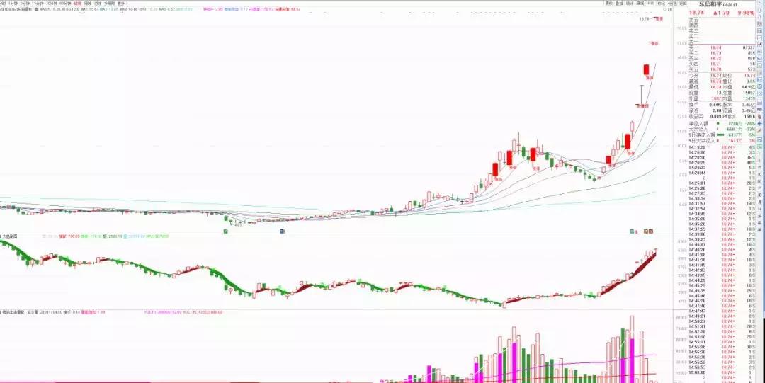 赵老哥最大龙虎榜买入,龙虎榜赵老哥全集