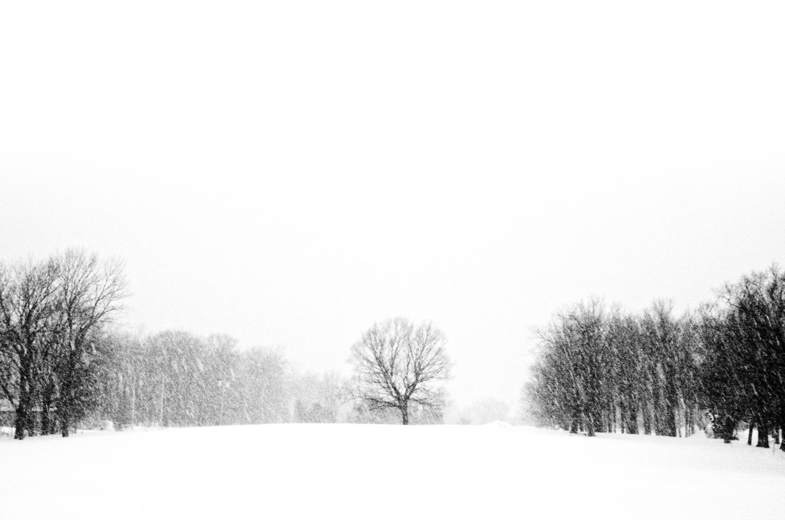 冬至你不知道的事,那些你不知道的冬至小知识