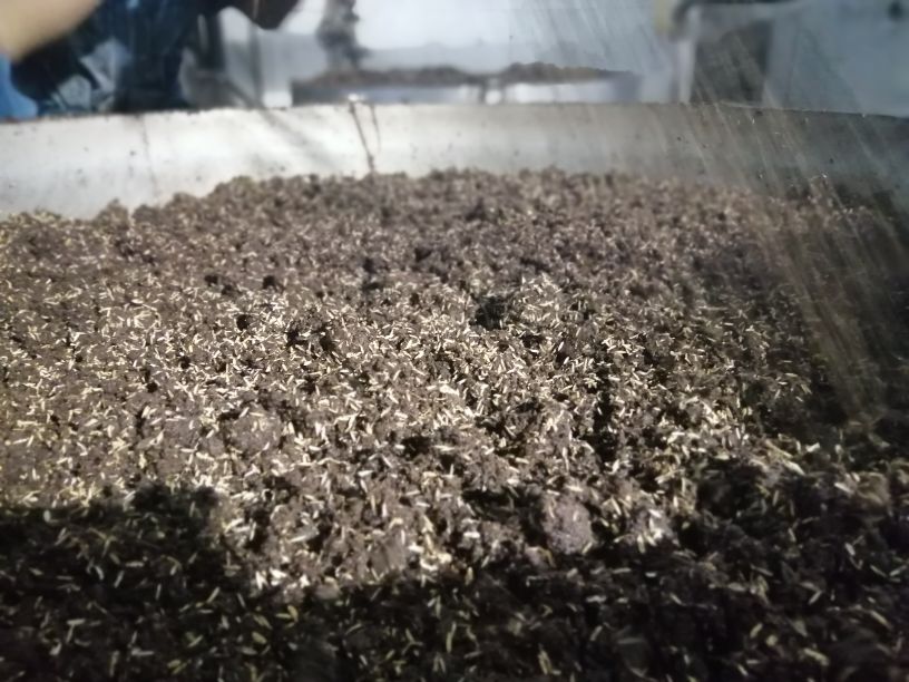 什么是下沙和糙沙,什么是矩阵