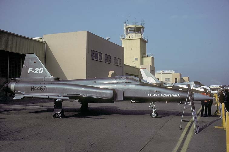 虎鲨悲剧,极富悲剧色彩的虎鲸