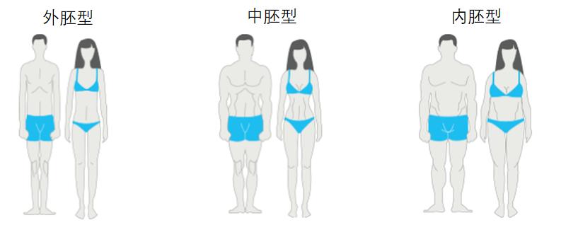 外胚型体型如何练出体态,内胚型体型的人应该怎么练