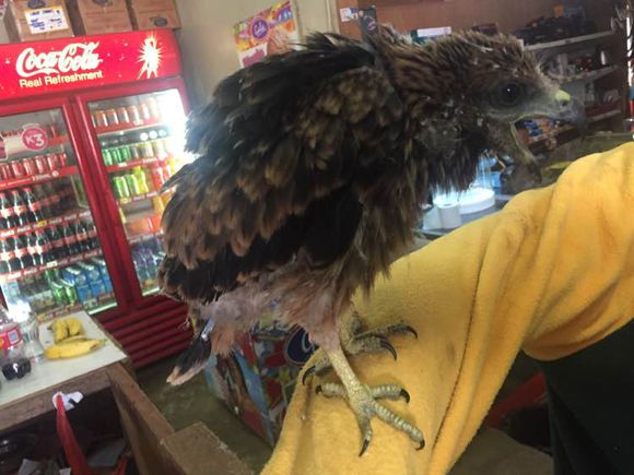 超市里买100元的无人机,超市卖的几十块无人机