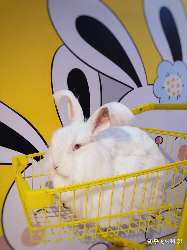 郑州有什么好玩的地方推荐,郑州有什么好玩的地方适合小孩子