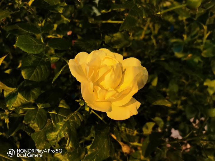 荣耀play4pro的优缺点和使用体验,让人们切实感受5g改变