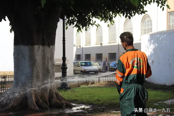 摩洛哥撒哈拉沙漠三毛,三毛的撒哈拉沙漠在摩洛哥