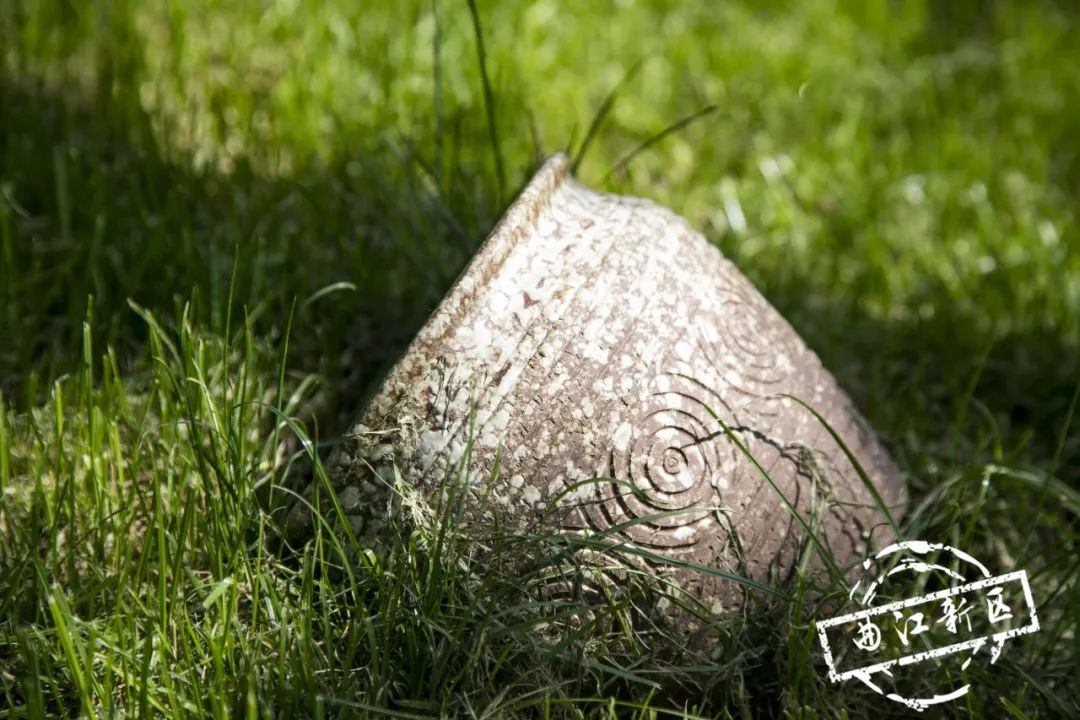 这个周日，新青年就要来曲*青江**年森林公园