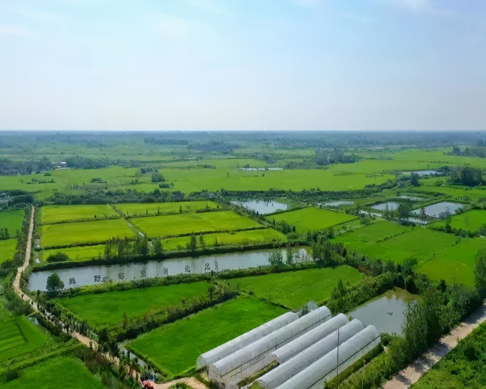 应来之城食用盐生产,应来之城餐馆