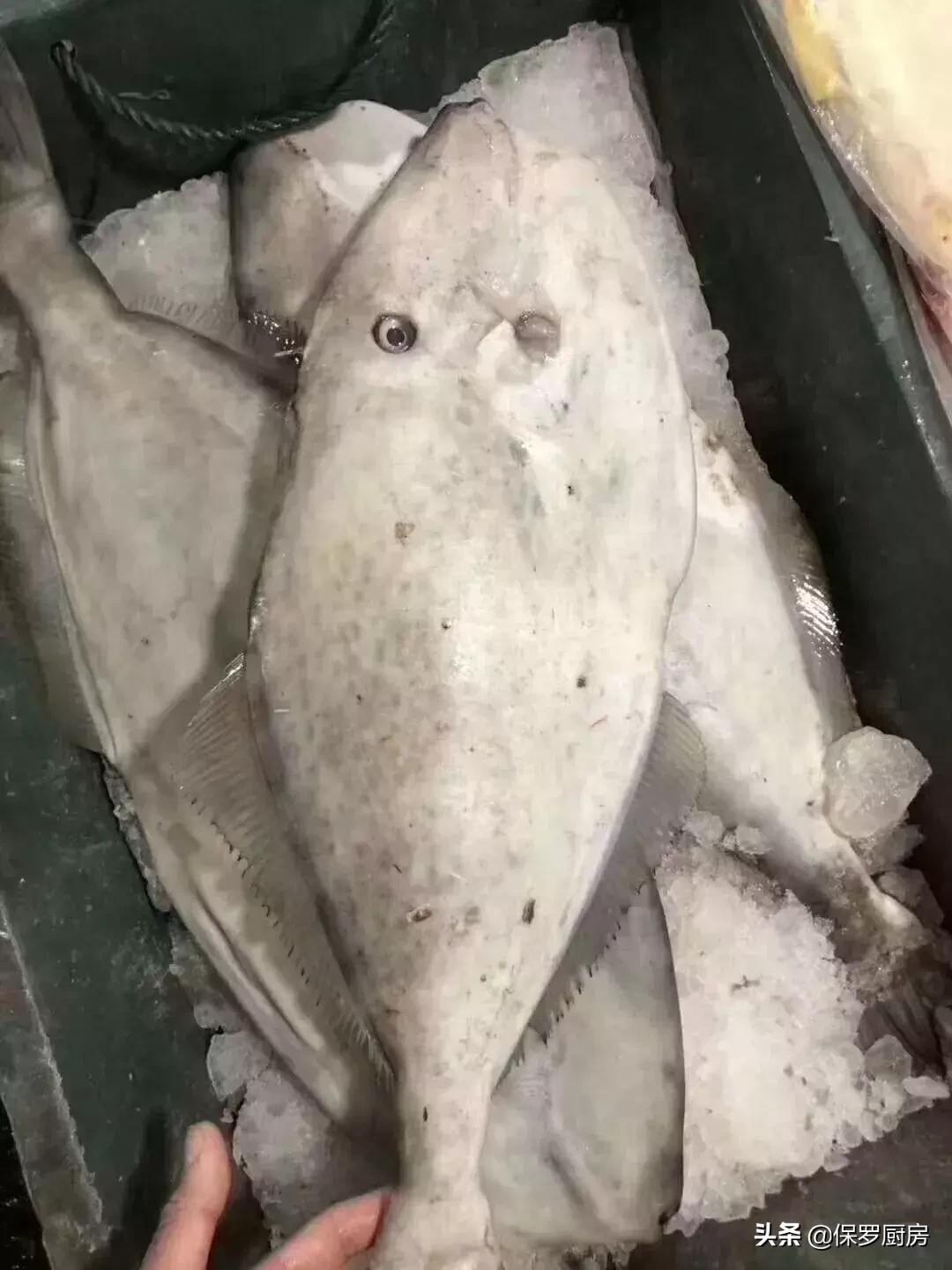 海鲜大荟萃,常见贝壳类海鲜