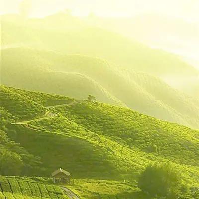 薛姓头像2020最火微信头像,2020年最招财微信头像图片大全