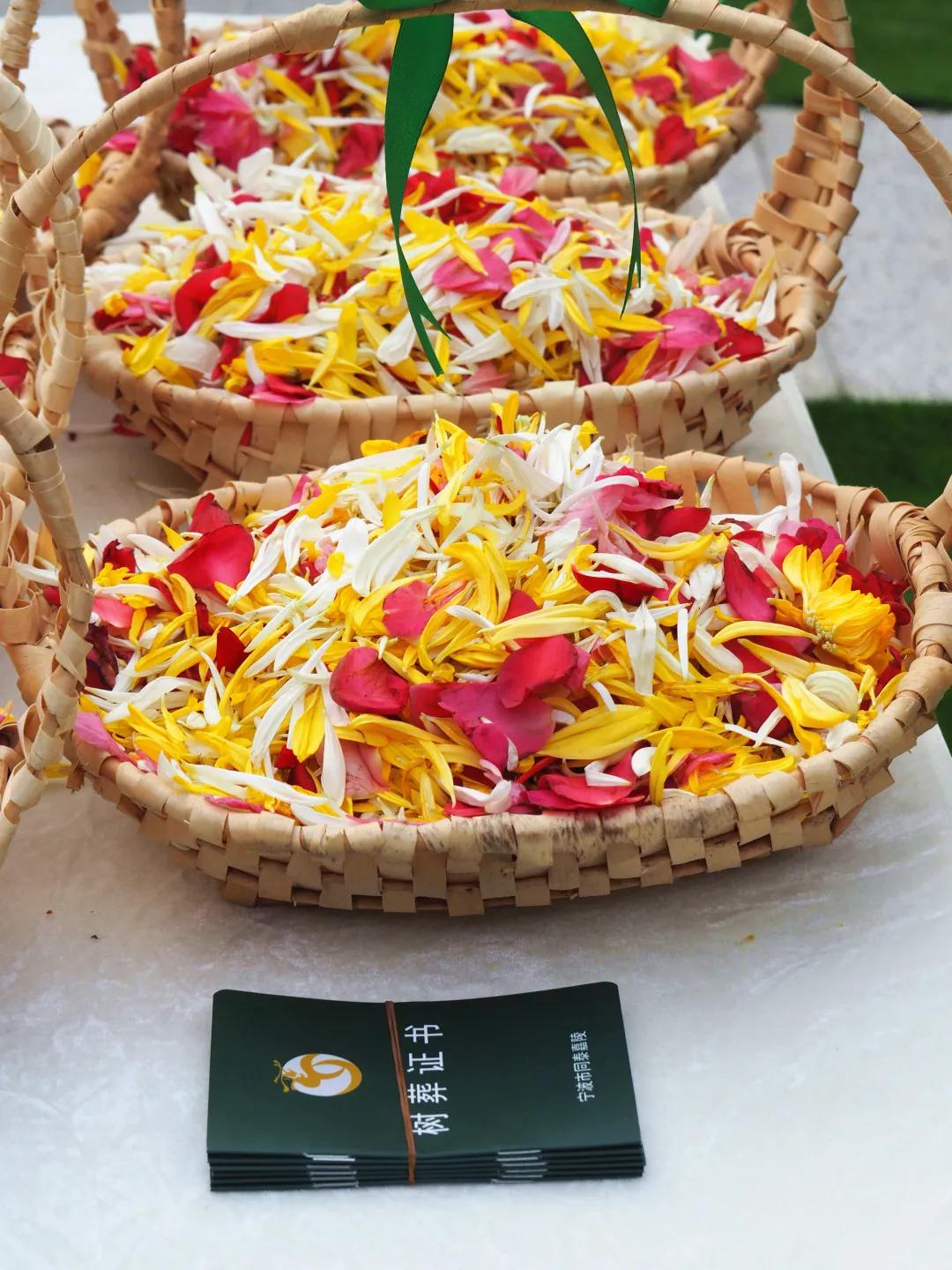 同泰第四届集体树葬圆满举行，21位树葬人士回归自然