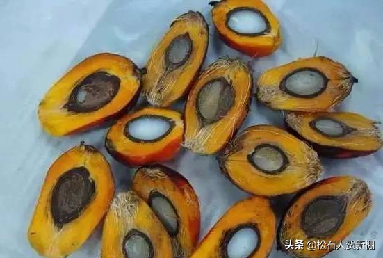 果核纯手工做的手串,用果壳做手串