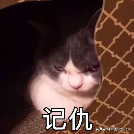 售卖假货引众怒,专柜售假