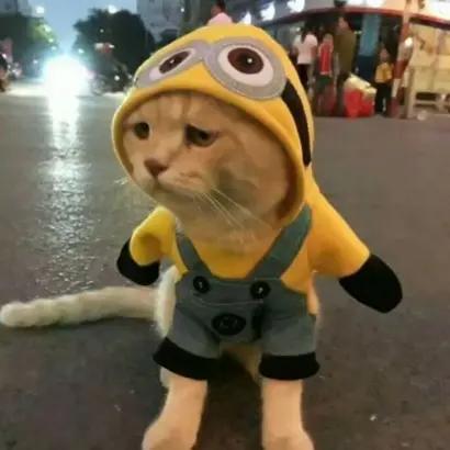 沙雕闺蜜头像四人一人一张,沙雕闺蜜头像新年款