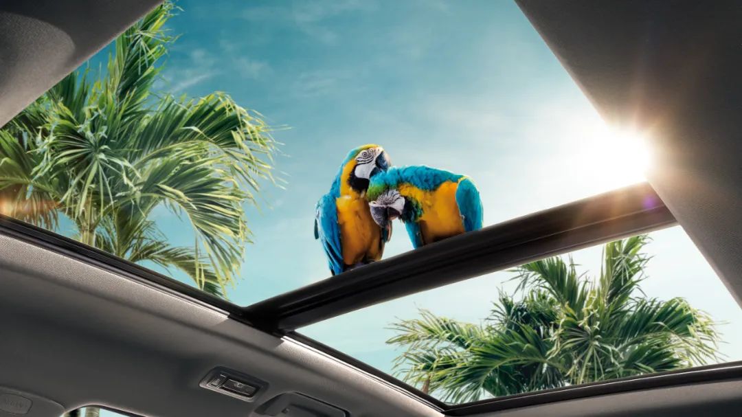 9速cvt与7速的区别,9速cvt逻辑