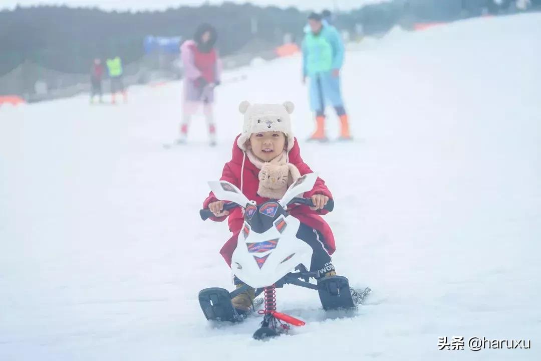 南方也能下雪吗,南方也能见到雪