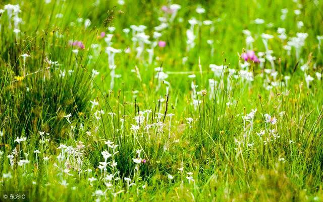 关于思乡送别爱国田园风光的古诗,有关爱国情怀边塞古诗词