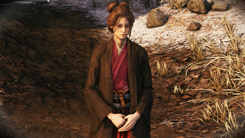 《只狼》的背景故事全面解析,只狼隐藏的真实故事