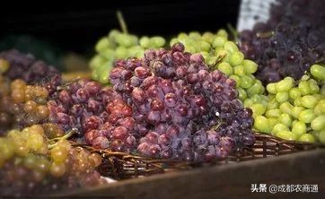 水果行业应该怎么做,怎么样才能把水果行业做大做强