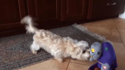 为过万圣节把房子改成鬼屋吓坏数千人，幸好我和这个老哥不是邻居