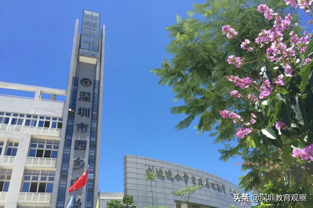 走名校vol.14|西乡中学：50年，我们专注做一件事