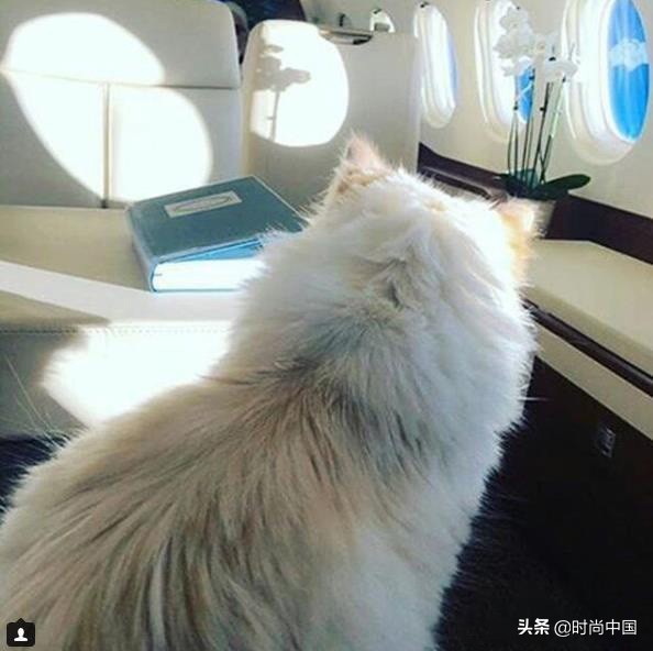 买不起香奈儿包包还可以买什么,买不起系列香奈儿