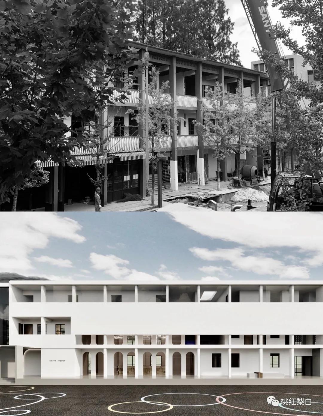 章泽天和董花花哪个强,章泽天与董花花的视频