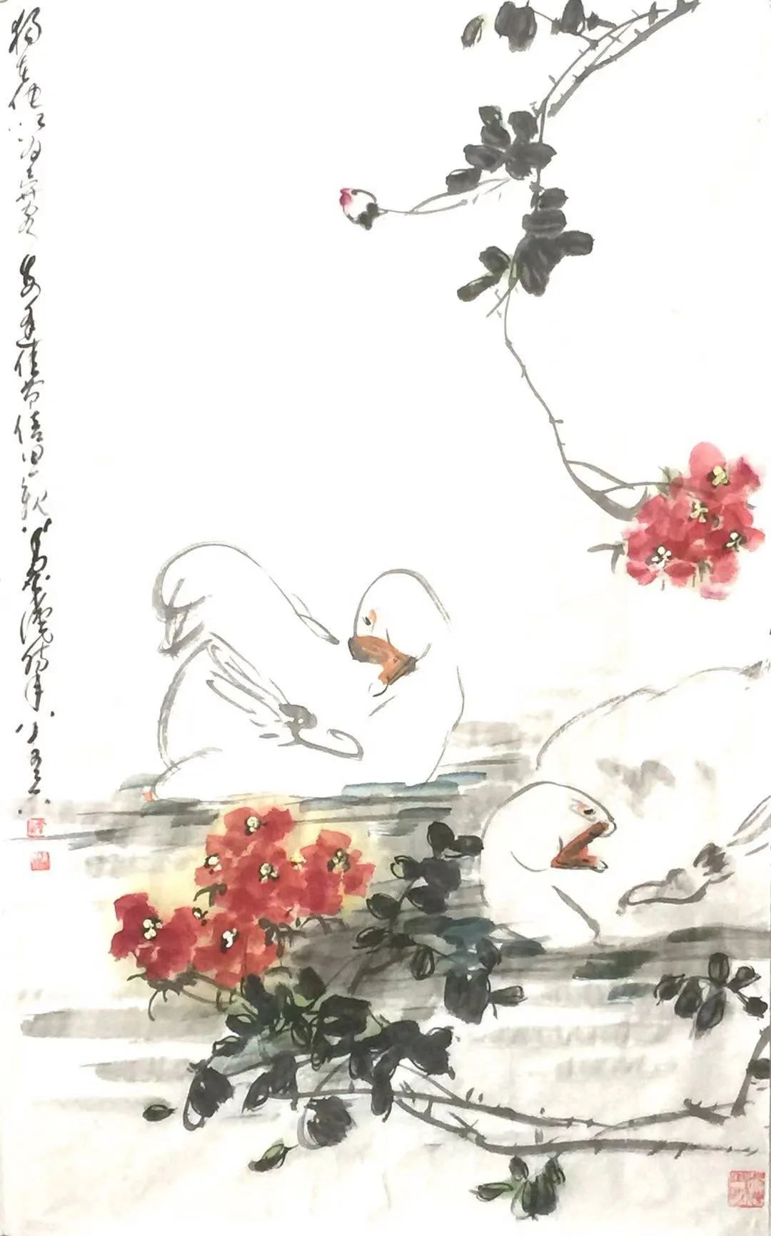 五月绿洲,六月的绿洲