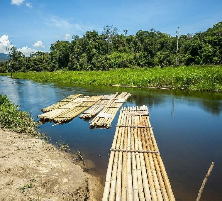 家里出现小飞蛾是什么原因,家里出现大蜘蛛预兆