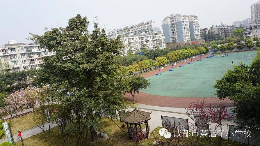 金牛区最好三个中学,成都金牛区三所小学