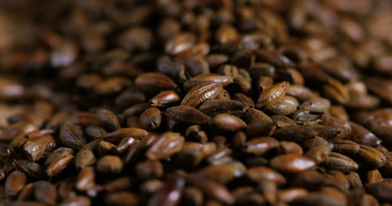 国内较好的麦芽品牌,单一麦芽三大品牌